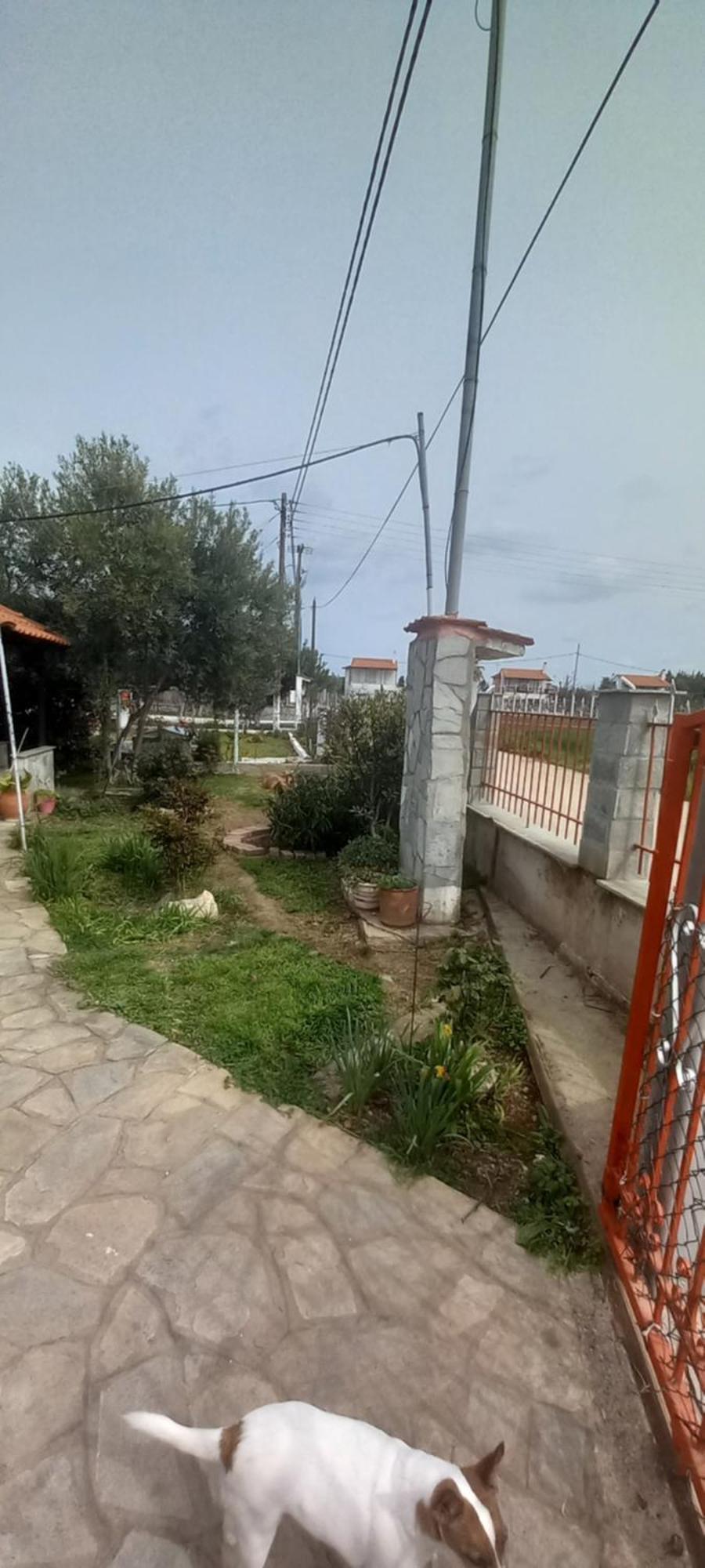 Villa Julia Nea Plagia Exterior photo