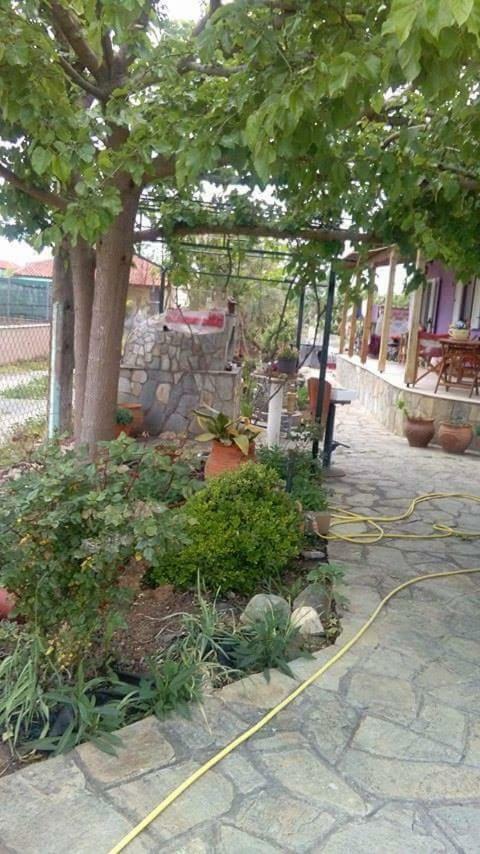 Villa Julia Nea Plagia Exterior photo